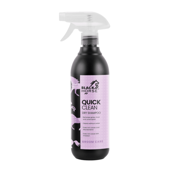 BlackHorse Quick Clean Dry Shampoo
