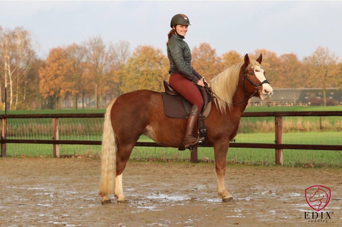 EDIX® flexible frame riding saddle Tudor