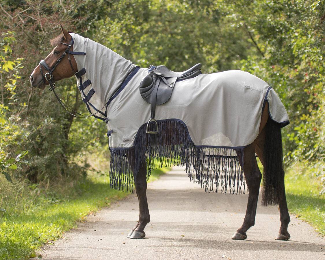 QHP exercise fly sheet with fringes
