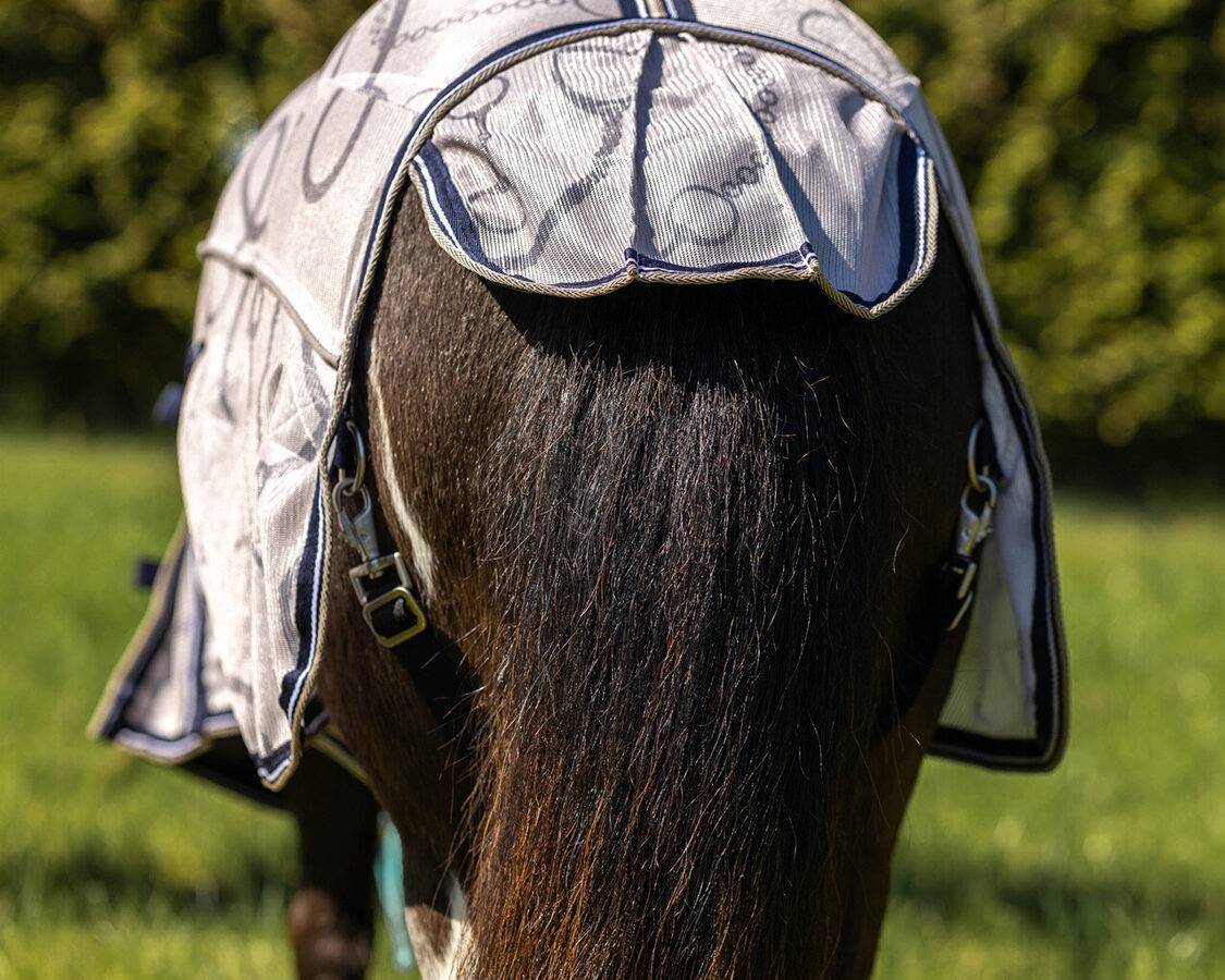 QHP falabella fly rug Collection with a mask