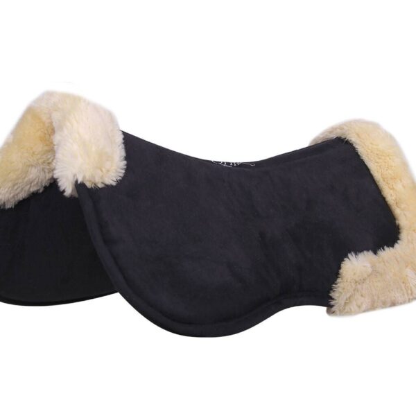 Ippeas harness