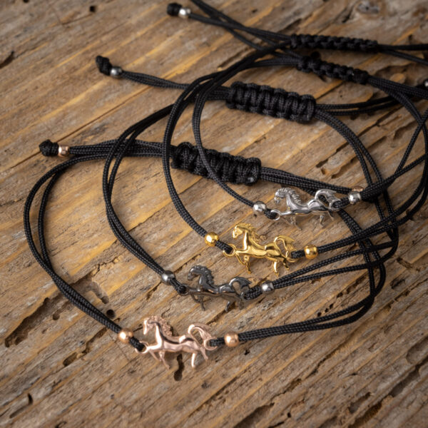 AshmenioBraxioliAlogo scaled