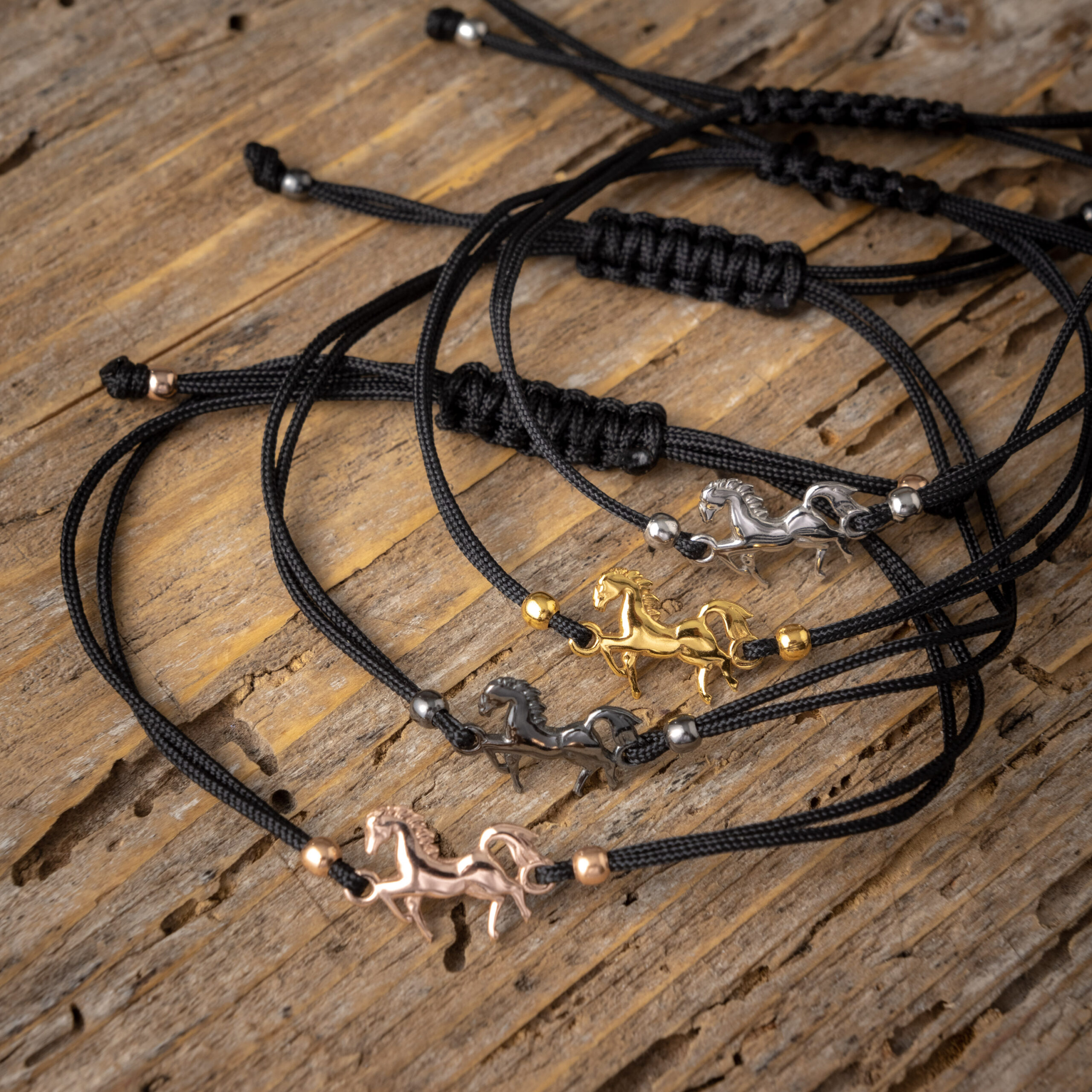 AshmenioBraxioliAlogo scaled