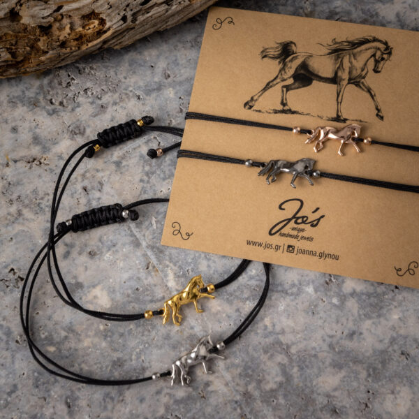 BraxioliAlogoDressage scaled