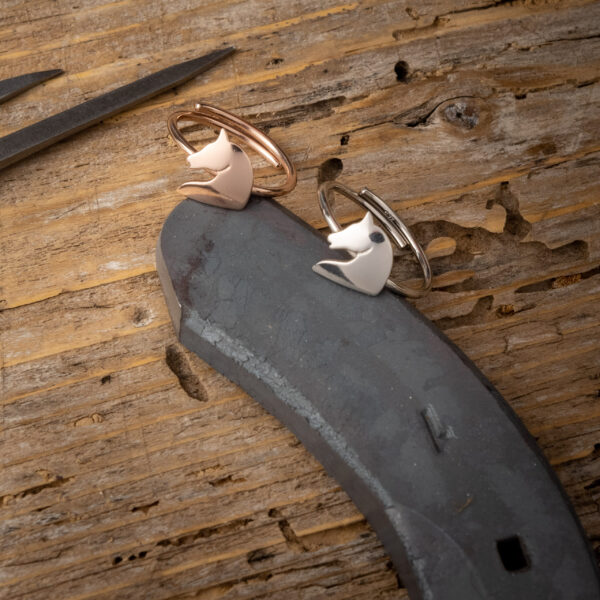 DaxtylidiMorganHorse scaled