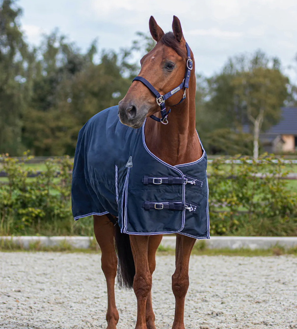 Screenshot 2025 11 04 153111