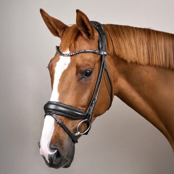 Screenshot_15 7 2026_115032_www.kentucky horsewear.com_