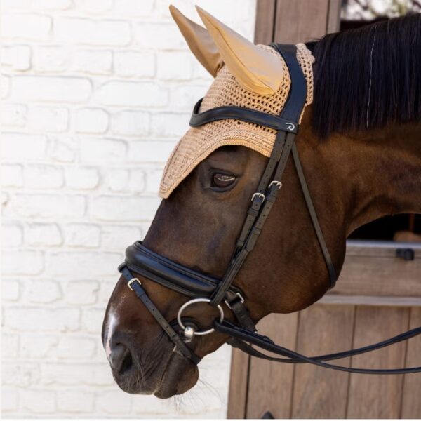 Screenshot_15 7 2026_125443_www.kentucky horsewear.com_