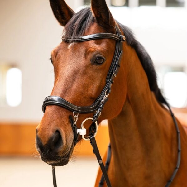 Screenshot_15 7 2026_14041_www.theequinewarehouse.com_