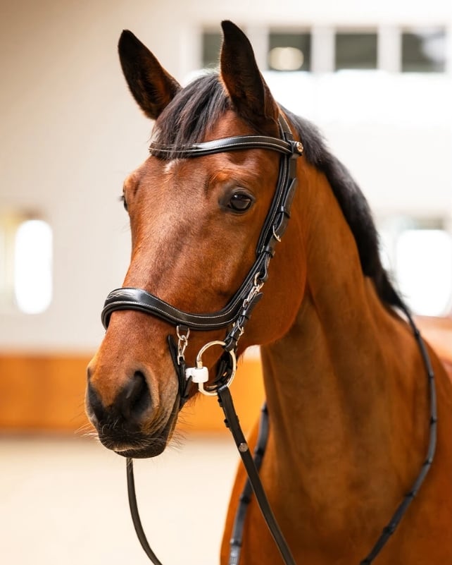 Screenshot_15 7 2026_14041_www.theequinewarehouse.com_