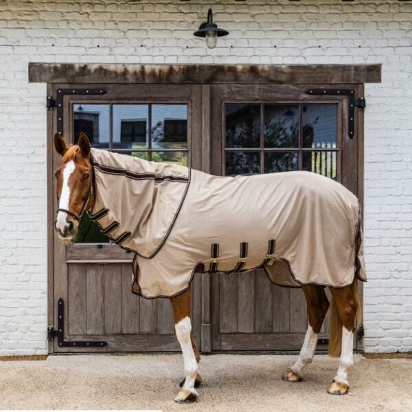 Screenshot 16 3 2026 113623 www.kentucky horsewear.com