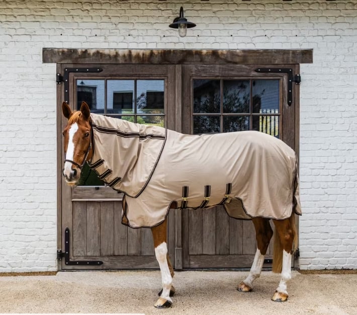 Screenshot 16 3 2026 113623 www.kentucky horsewear.com