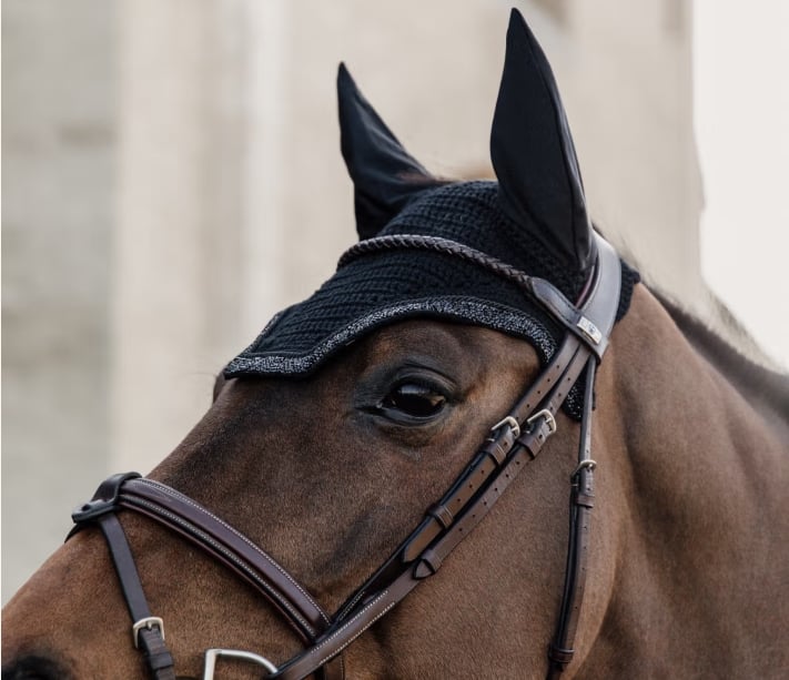 Screenshot 2 4 2026 105552 www.kentucky horsewear.com