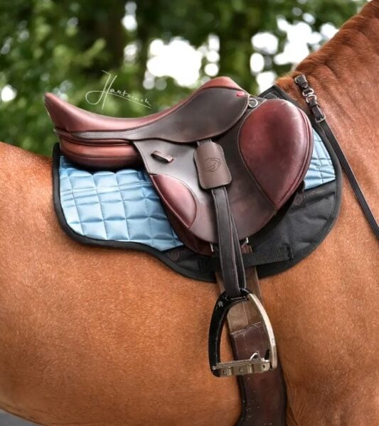 EDIX Metallic GP saddle pad