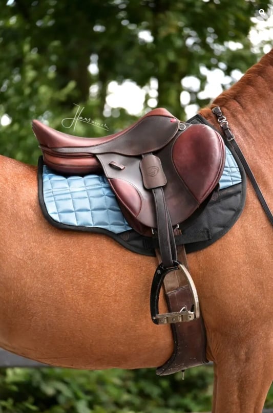 Screenshot_20 4 2026_115327_www.edixsaddles.com_