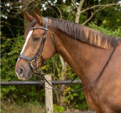 Screenshot_27 4 2026_17438_www.qhp_.nl_