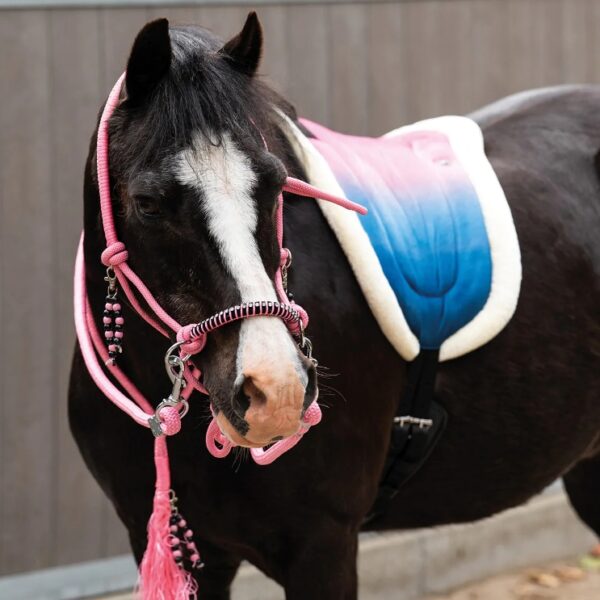 Screenshot 3 3 2026 141555 www.qhp.nl