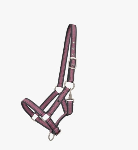 Screenshot 3 3 2026 183027 www.qhp.nl