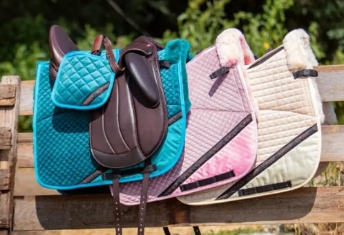 Screenshot 30 3 2026 162016 www.edixsaddles.com