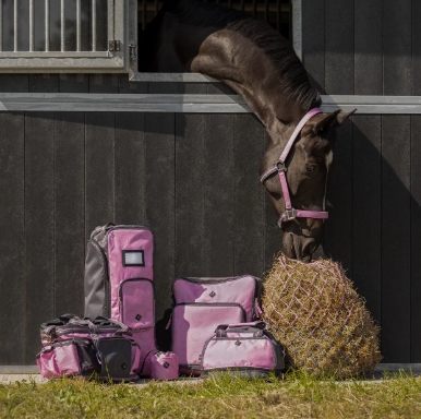 Screenshot 4 3 2026 133647 www.qhp.nl