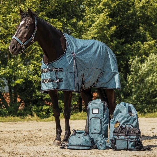 Screenshot 4 3 2026 154741 www.qhp.nl