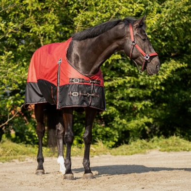 Screenshot 4 3 2026 164318 www.qhp.nl