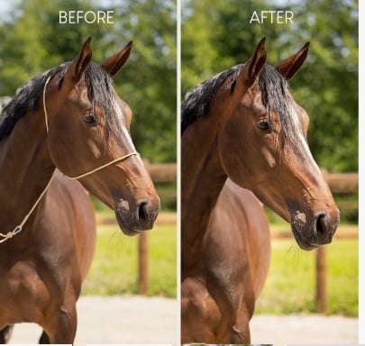 Screenshot 4 3 2026 175219 www.qhp.nl