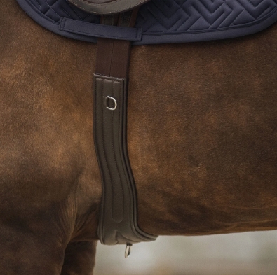 Screenshot 4 3 2026 183423 www.qhp.nl