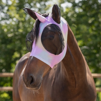 Screenshot 4 3 2026 184950 www.qhp.nl