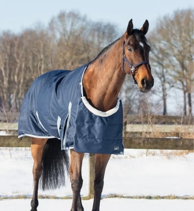 Screenshot 5 3 2026 103818 www.qhp.nl