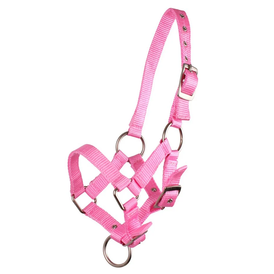 qhp head collar foal pink
